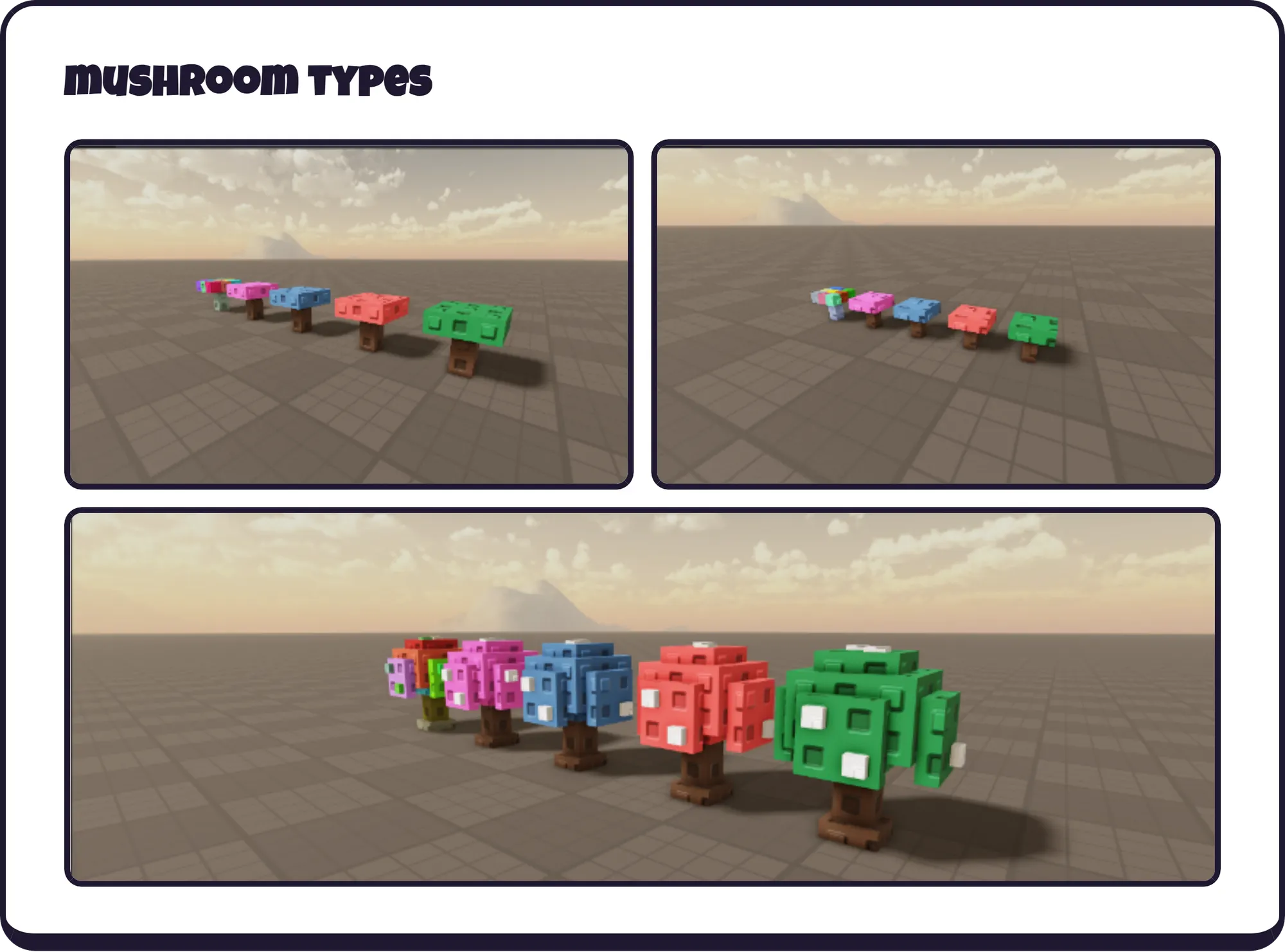 mushroom types [Images]
