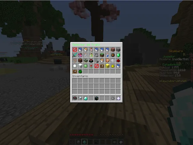 IMG9.png