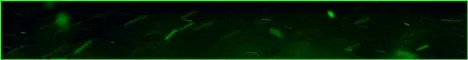 glitter-green.gif