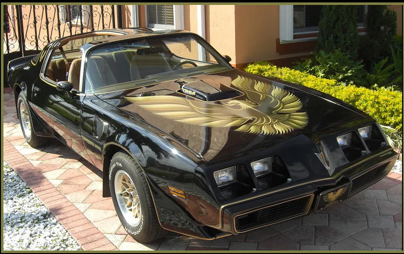 79spec1.jpg