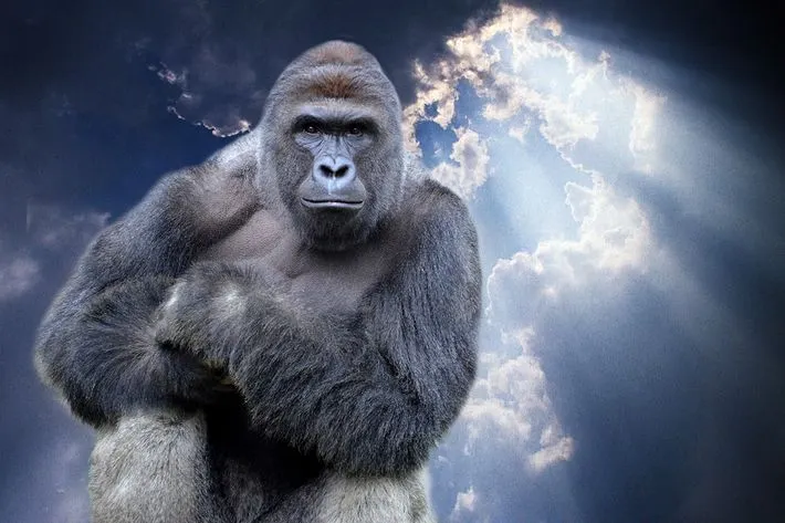 27-harambe-gorilla-heaven.w710.h473.jpg