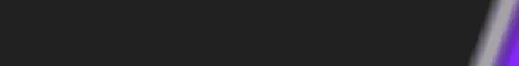 rapid-action-server-banner-purple.gif