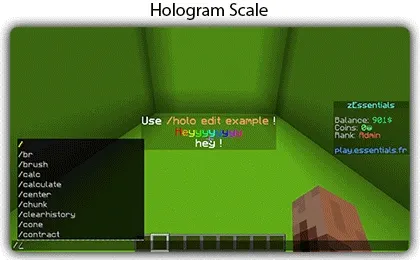 holo-scale2.gif