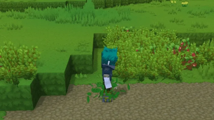 Forest_Magic_vwbboy.gif
