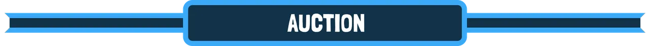 auction.png
