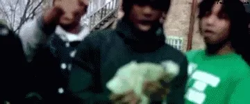 tumblr_mqpxhxc5ST1qkoopko1_400.gif