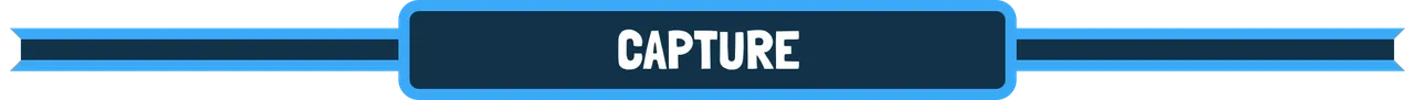 capture.png