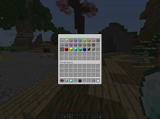 IMG10.png