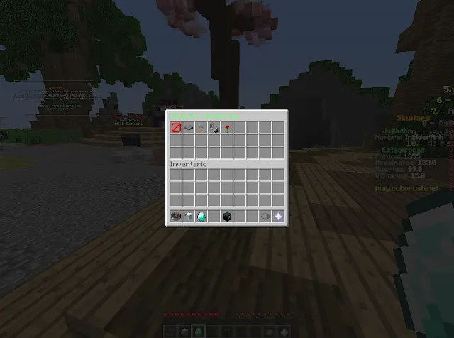 IMG11.png