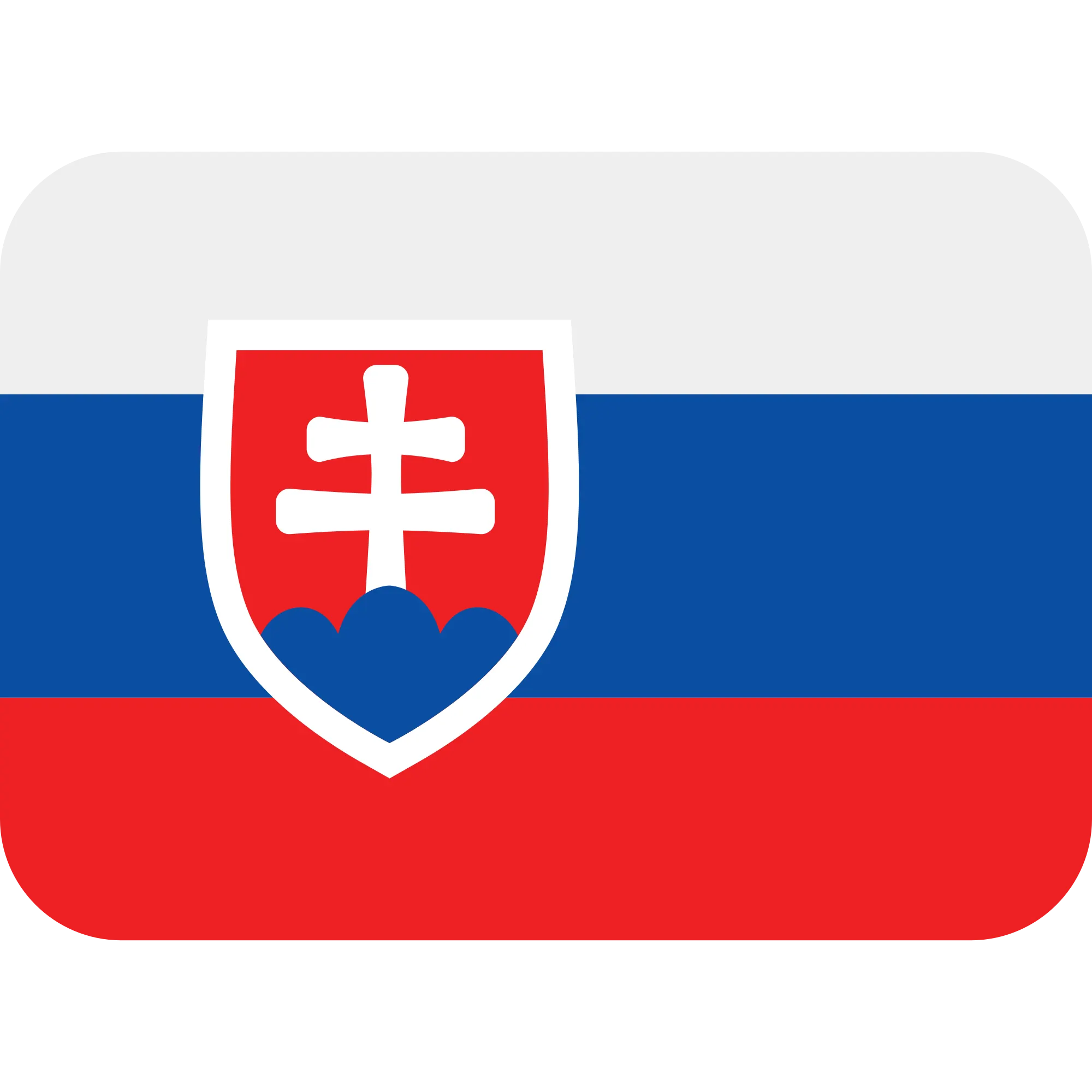 🇸🇰