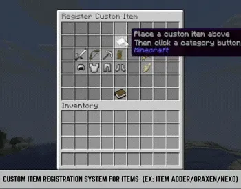 custom-item-registration.gif