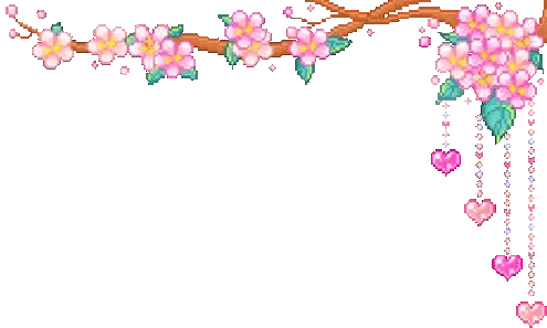 Seperator.gif
