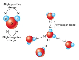 Cohesion-of-Water.png