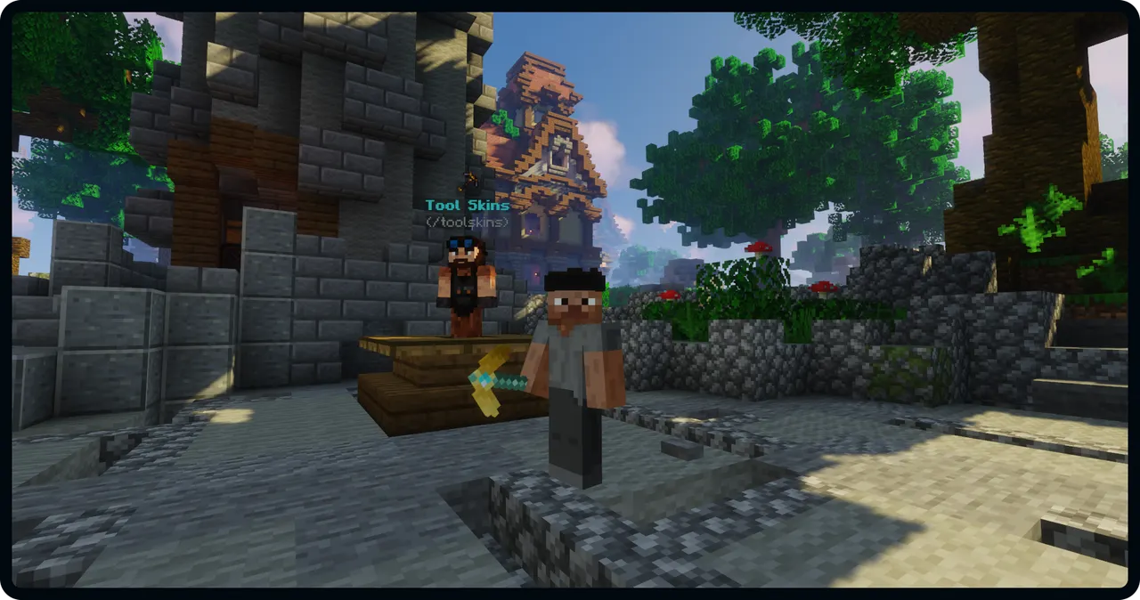 toolskins.png