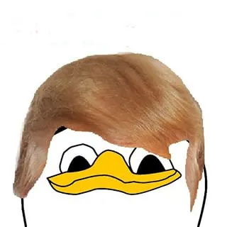 zRsfGCnX.png