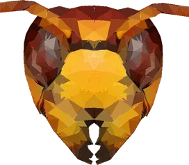 poly.png