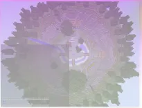 49b908f429f53b2025715ae51d54232e.png