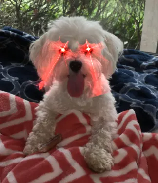 b422e61a1faffa72730f506aac1f2d61.png