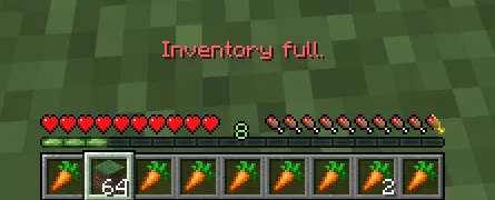 Full inventory behavior warning