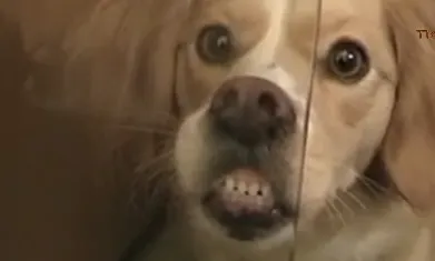 5894df75dd5d978c5b6f85401f638a76.png