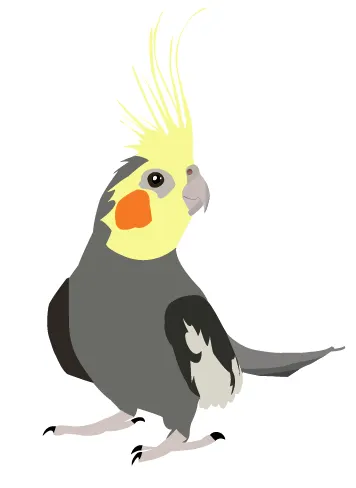 115b4f5064000bb36292f65b9ffb9f19.png