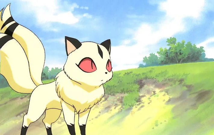 kirara3.jpg
