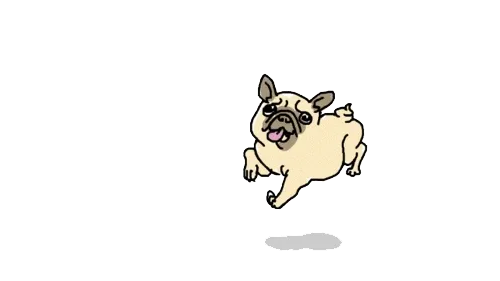 tumblr_mplw92itod1sqpkrgo1_500.gif