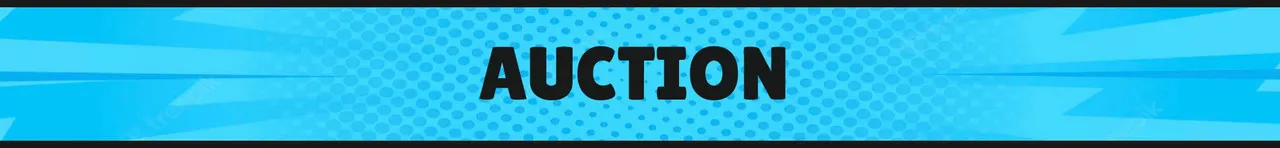 Auction.jpg
