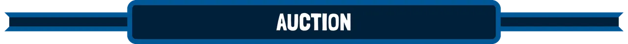 auction.png