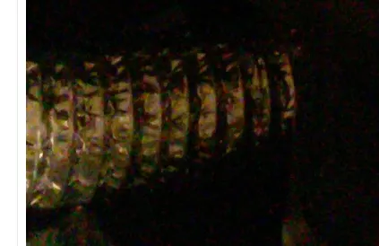 c95555a4e30049d5cbae84542bba69eb.png