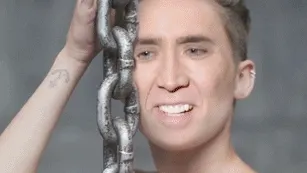 giphy.gif