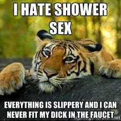 048da813270c81139d3d4fdc8b171f08.jpg
