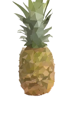 noback2.png