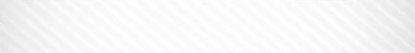 Swancraft.gif