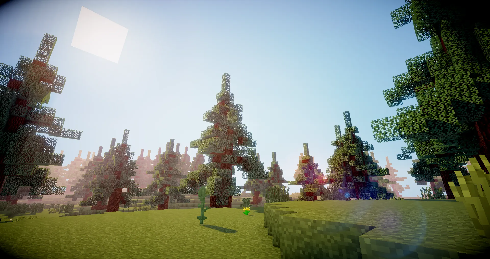 8f35eb362bde829d28f094080a6b6ef7.png