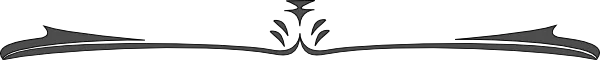 12279736882009934397twoton_Dividing_Line_3.svg.hi.png