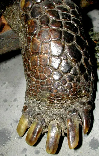 7865314_orig.jpg