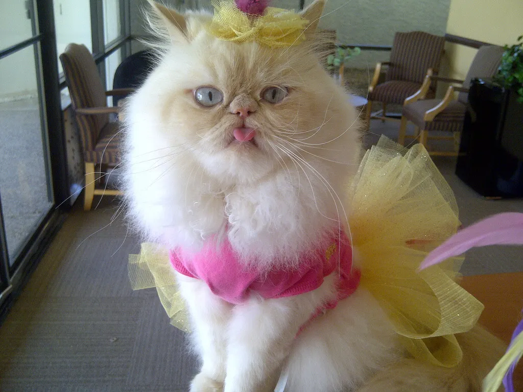 tumblr_lnzxfmPWZx1qdvbl3o1_1280.jpg