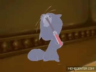 giphy.gif