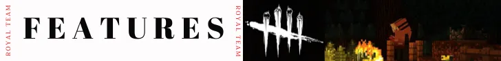 features.png