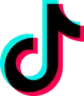 :TikTok~1: