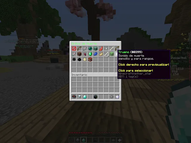 IMG12.png