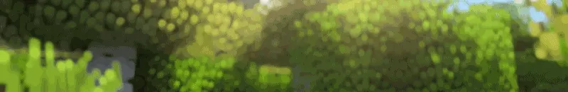 Animated-Logo-GIF.gif