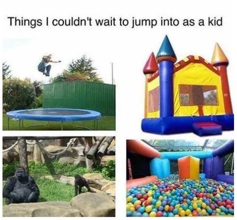 harambe_meme_001.nocrop.w536.h2147483647.2x.jpg