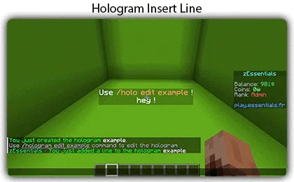holo-insert.gif