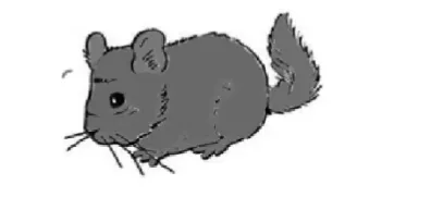 d7b167621e434b92ba0a0e135bfcac69.png