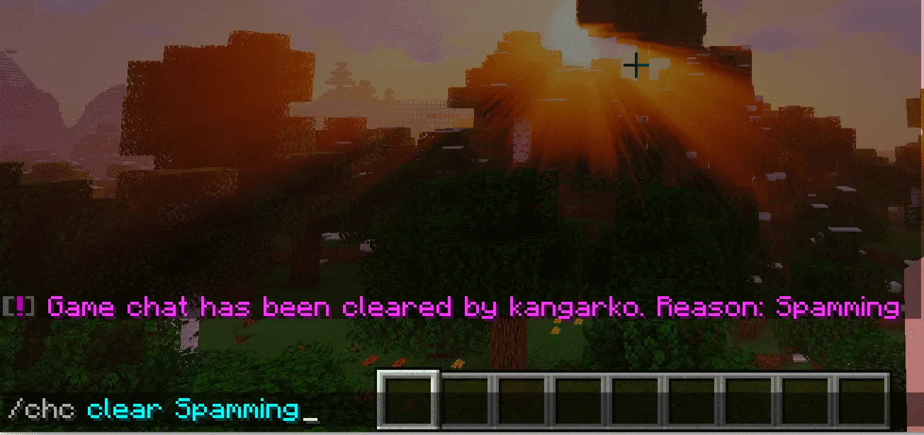 chatcontrol-clear-chat.png