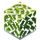 692594332666036234.png