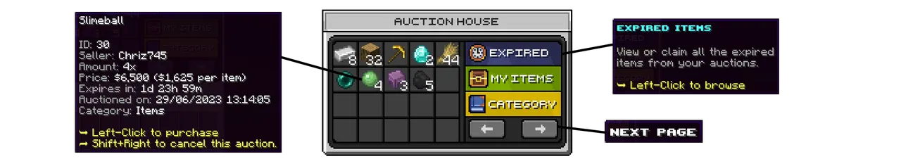auction1.png