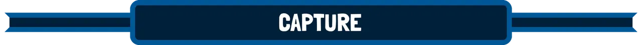capture.png